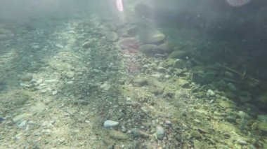 Batış bir nehir, üstün bölümü ve bir nehir görünümü