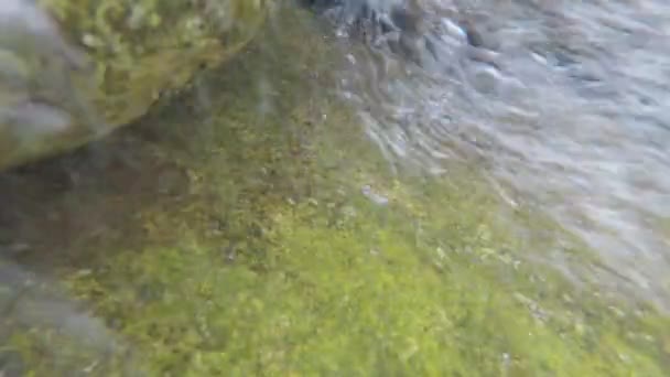 Fluxo Água Dentro Rio Com Bolhas Correndo — Vídeo de Stock