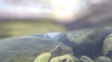 Su nehir ve bir nehir içinde bir baskı ile kırma su kabarcıkları