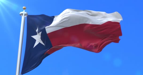 Flaggan Texas Stat Region Usa Slinga — Stockvideo