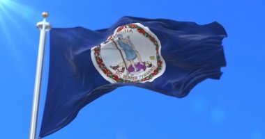 Virginia state, Amerika Birleşik Devletleri - bölge bayrağı döngü