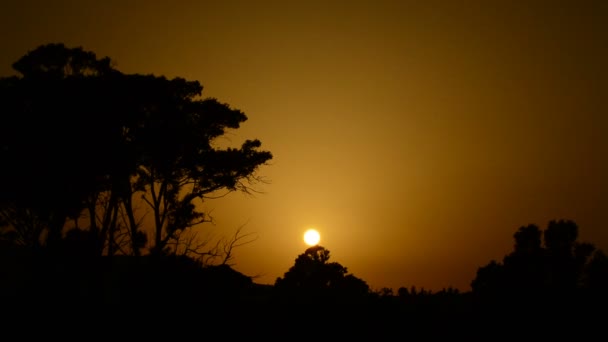 Zon Verbergt Tussen Bomen Bij Zonsondergang Een Zomerdag Timelapse — Stockvideo