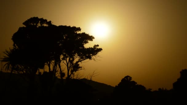 Zon Zonsondergang Met Silhouetten Van Bomen Een Zomerdag — Stockvideo