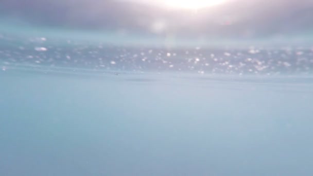 Deniz Parçacıkları Denizin Içinde Günbatımında Hareket Akışı Sular Altında — Stok video
