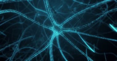 Nöron synapse nöron hücre nöronal insan dokusunun sürecinde