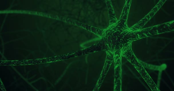 ニューロン細胞シナプスのプロセスと神経の人間組織内の微視的見解 — ストック動画