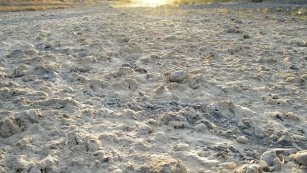 Trockenes Flussbett Der Dämmerung Trockenheit — Stockvideo