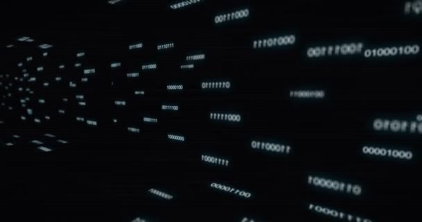 Words Binary Code Running Wall — Stock Video