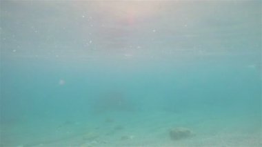 Beach, su yüzme adamım, denizin iç görüntülemek