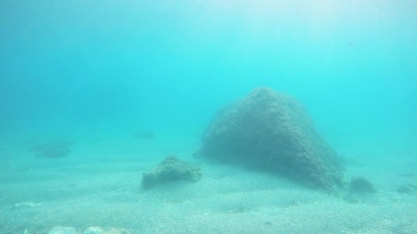 大きな石や海 水中カメラ 水生ビューの内部で泳ぐ魚 — ストック動画