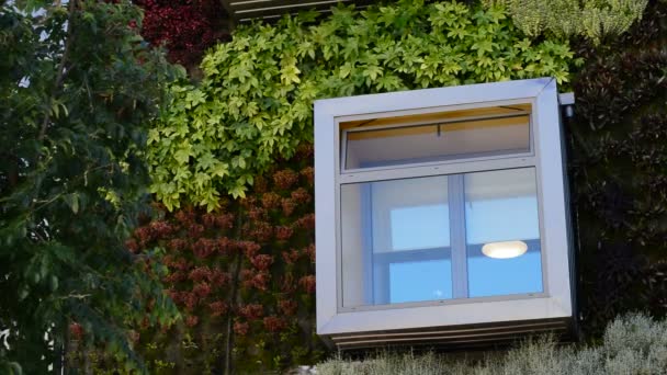Fenster Modernem Grünen Gebäude Naturkonzept — Stockvideo