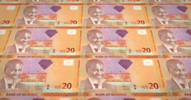 Banknoty Dwudziestu Dolar Namibijski Namibii Pieniądze Pętla — Wideo stockowe