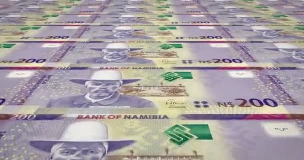 Billets Deux Cents Dollars Namibiens Namibie Argent Comptant Boucle — Video