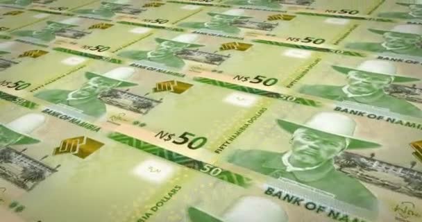 Sedlar Femtio Namibiska Dollar Namibia Kontanta Pengar Loop — Stockvideo