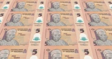 Beş Nijeryalı naira Nijerya inişli çıkışlı, Merkez Bankası banknot döngü