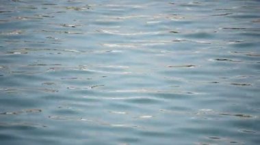 Arka plan mavi sakin denizin dalgaları