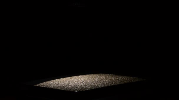 嘉籽食品旋转与亲密的光和黑色背景 — 图库视频影像