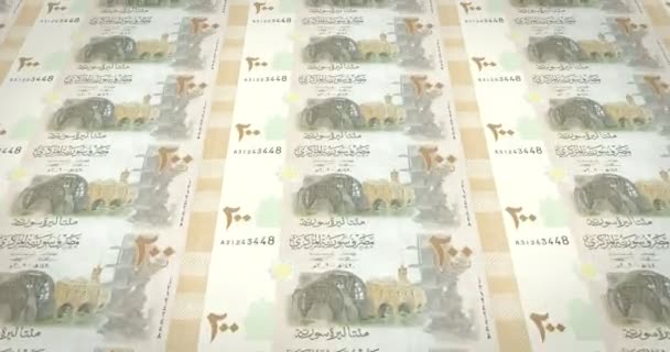 Banknoten Zweihundert Syrischen Pfund Bargeld Schleife — Stockvideo