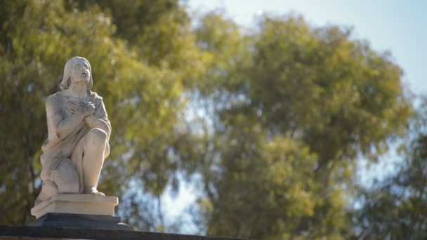 Estatua Del Hombre Afligido Rezando Tumba Cementerio Día Soleado — Vídeos de Stock