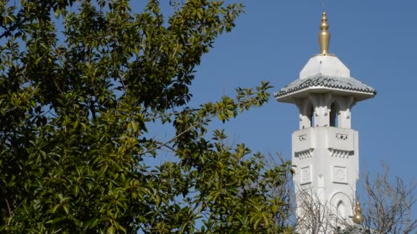 Minareto Torre Con Yamur Una Moschea Araba Una Giornata Sole — Video Stock