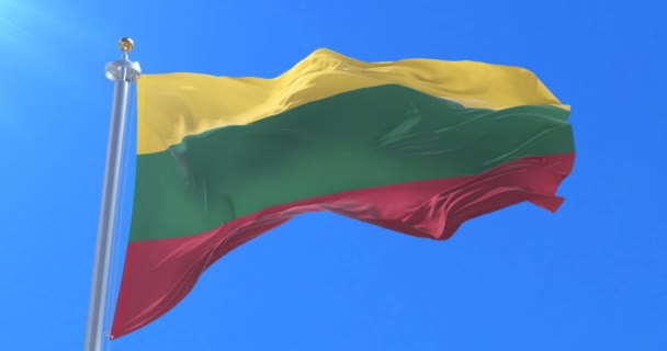 Lithuanian Flag Waving Wind Slow Loop — Stock Video