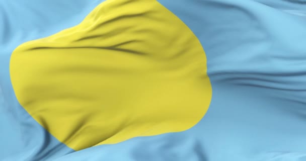 Bandera Palau Ondeando Viento Con Cielo Azul Lento Bucle — Vídeos de Stock