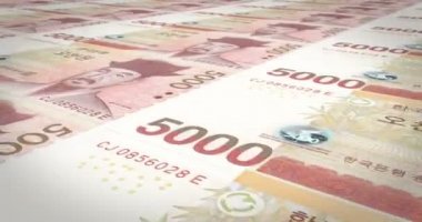 Haddeleme, nakit para, banknot beş bin wons Güney Kore, döngü