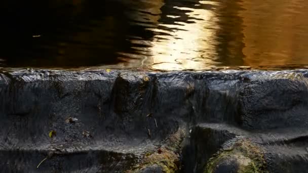 Water Rivier Met Gouden Reflecties Muur Van Steen Een Rivier — Stockvideo