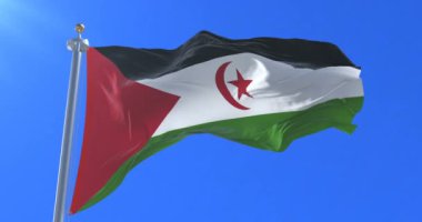 Western Sahara yavaş mavi gökyüzü ile rüzgarda sallayarak bayrak, döngü