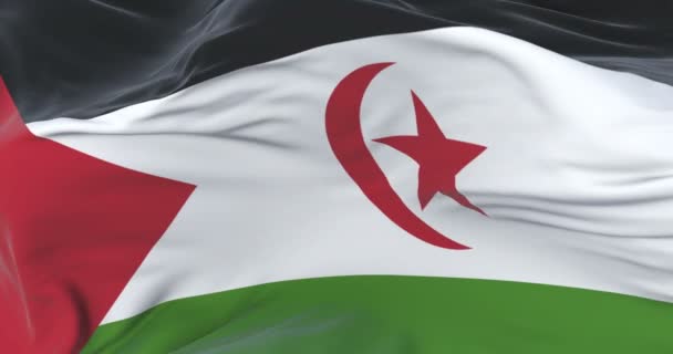 Drapeau du Sahara Occidental agitant le vent lentement avec un ciel bleu, boucle 