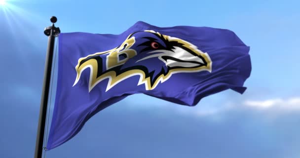 Bandera Baltimore Ravens Equipo Fútbol Americano Ondeando Bucle — Vídeos de Stock