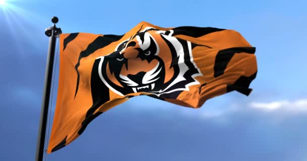 Bandeira Cincinnati Bengals Time Futebol Americano National Football League Nfl — Vídeo de Stock