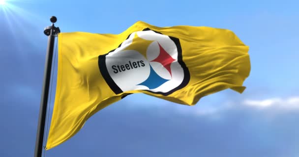 Pittsburgh Steelers Flagge American Football Nationalmannschaft Der National Football League — Stockvideo