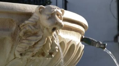 Aslan bir kamu ağız yontucu yüz detayını çeşme su dökme