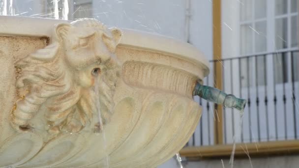 Visage Sculpté Bouche Lion Dans Une Fontaine Publique Versant Eau — Video