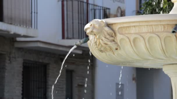Visage Sculpté Lion Dans Une Fontaine Publique Versant Eau — Video
