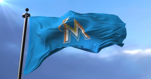 Bandiera Della Squadra Dei Miami Marlins Baseball Professionistico Americano Loop — Video Stock