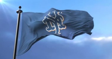New York Mets bayrak, Amerikan profesyonel beysbol takımı, sallayarak - döngü