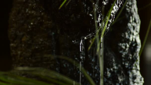 Roca Estalactita Con Deslizamiento Caída Agua — Vídeos de Stock