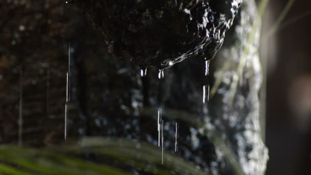 Roca Estalactita Con Deslizamiento Caída Agua — Vídeo de stock