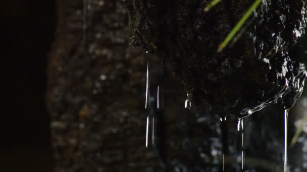 Wasser Rutscht Und Fällt Durch Einen Tropfsteinfelsen — Stockvideo