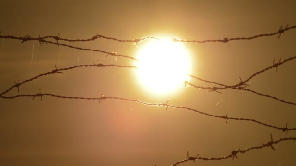 Gün Batımında Güneş Ile Dikenli Tel Çit — Stok video
