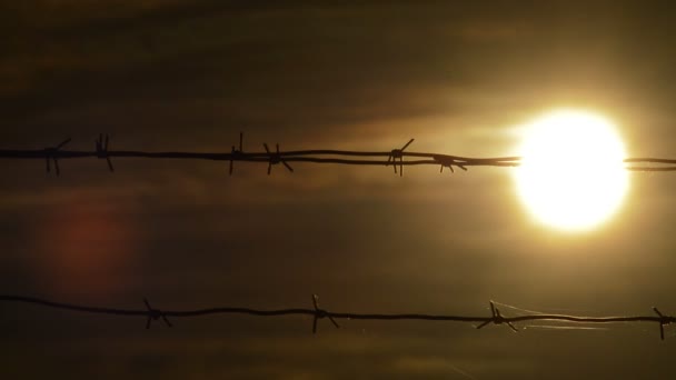 Pôr Sol Uma Cerca Arame Farpado — Vídeo de Stock