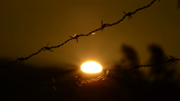 Barbed Wire Fence Sun Hiding Mountains Background — Stock Video