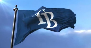 Tampa Bay Rays bayrak, Amerikan profesyonel beysbol takımı, takım sallayarak - döngü
