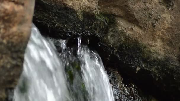 Manantial Agua Que Fluye Rocas Piedras — Vídeos de Stock
