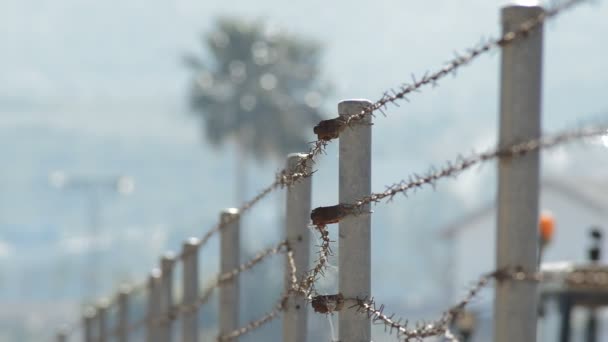 Mur de clôture en fil de fer barbelé dans un champ une journée ensoleillée 