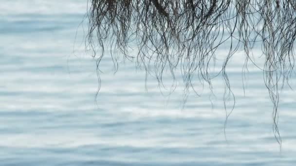 在阳光明媚的早晨 海浪在岸边折断的沙滩伞稻草 — 图库视频影像