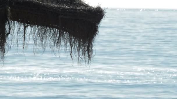 Detalle Sombrilla Playa Con Olas Marinas Rompiendo Orilla Una Mañana — Vídeos de Stock