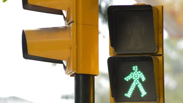 Traffic Light För Fotgängare Grönt Förvandlas Till Rött — Stockvideo